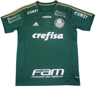 Camisa Palmeiras Home 2014 - Versão Retrô "Valdivia" Nº 10