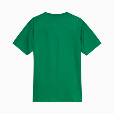 Camisa Palmeiras 2025 – Treino